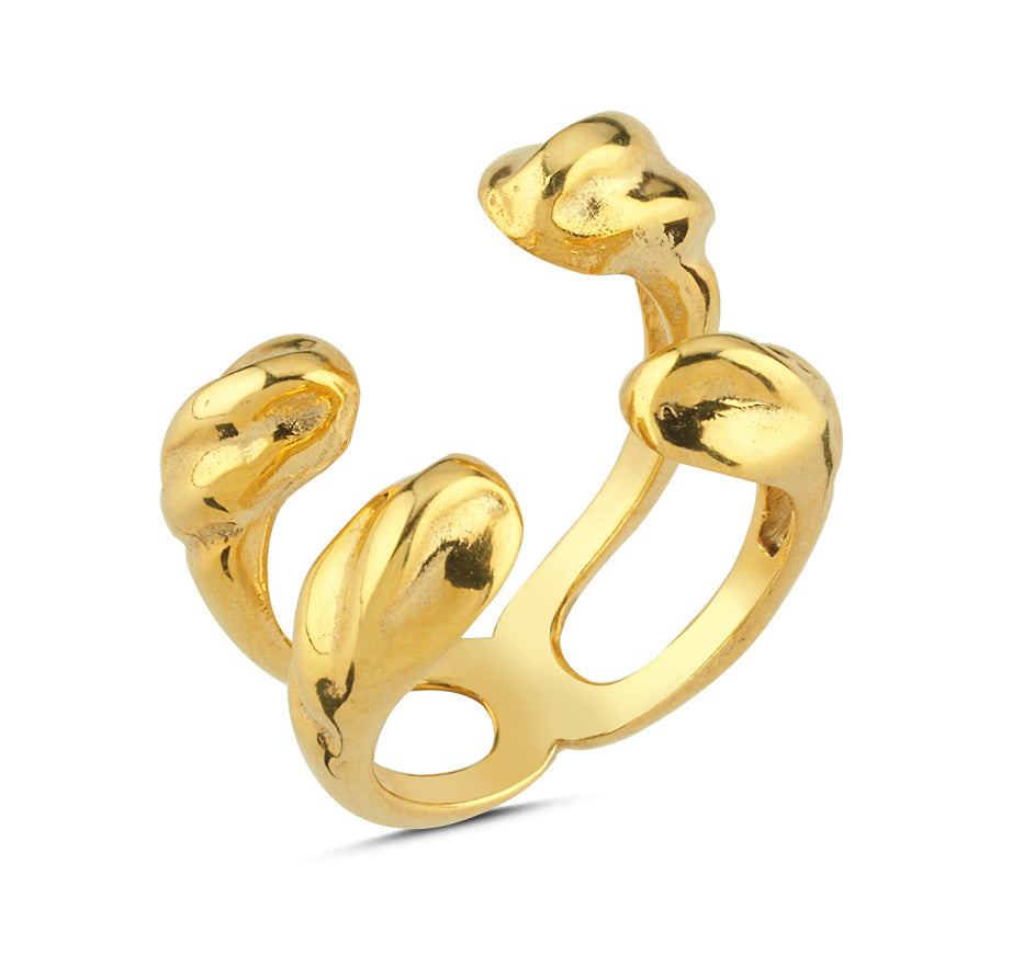 Double Row Asymmetric Ring